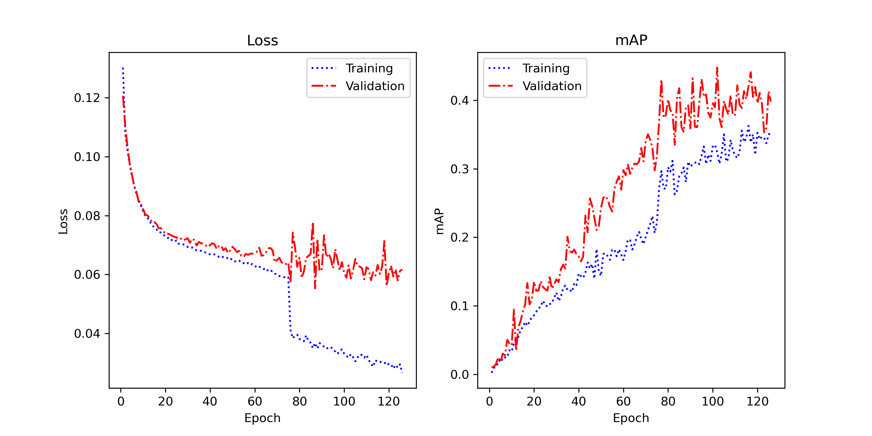 Loss & mAP Curves
